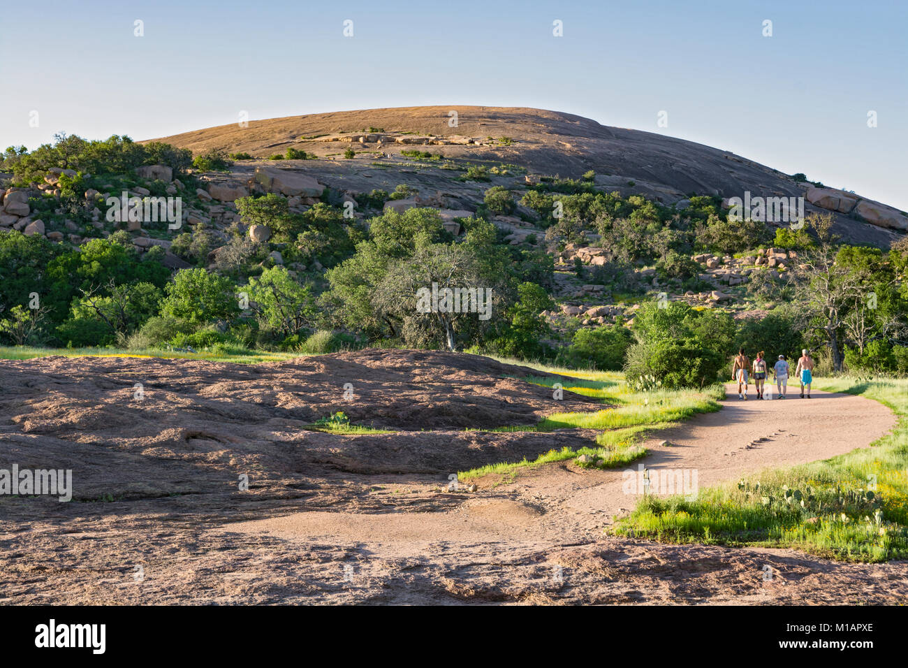 Texas, Hill Country, Enchanted Rock State Natural Area, pink granite pluton batholith Stock Photo