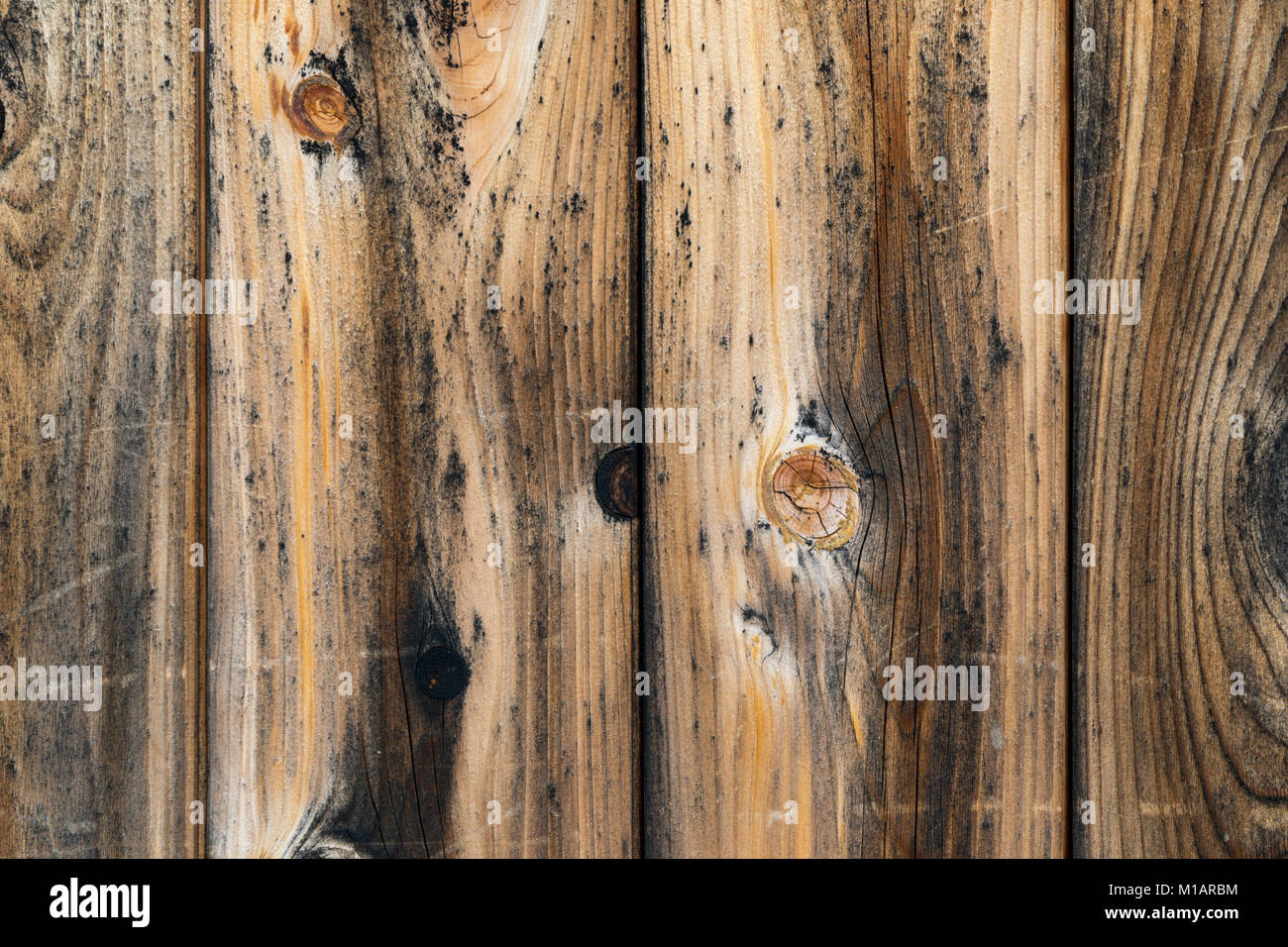 Wooden wall with vertical boards Stock Photo Alamy
