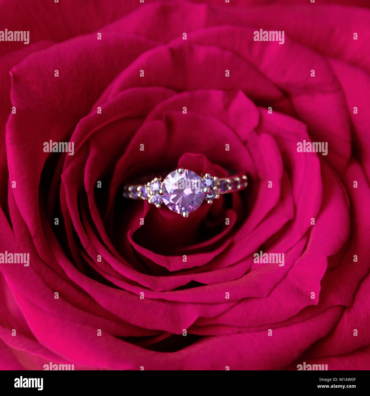 Rose Ring Images, HD Pictures For Free Vectors Download - Lovepik.com