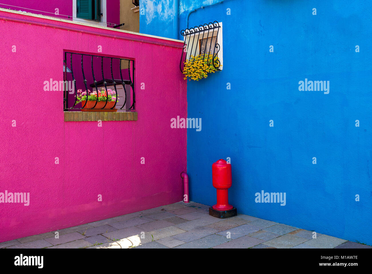 Purplish red and vivid blue colored walls of small houses on island of Burano in Venice, Italy. Stock Photo