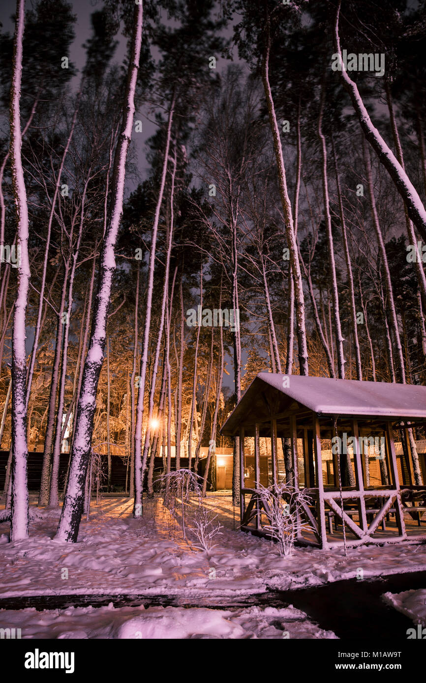 Wooden cottage in the forest hi-res stock photography and images - Alamy