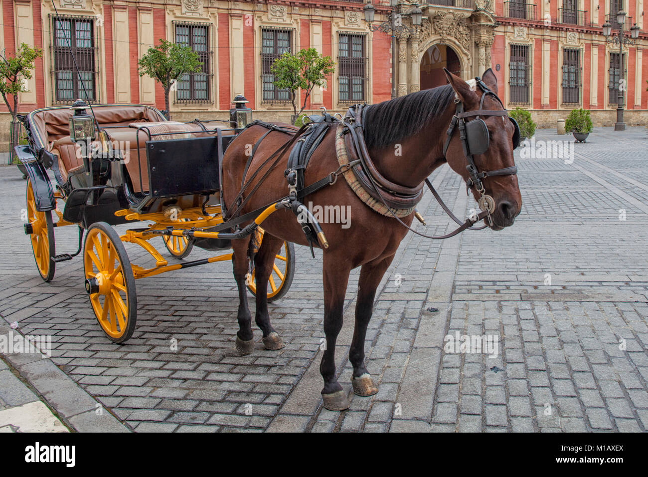 Seville carriage ride hires stock photography and images Alamy