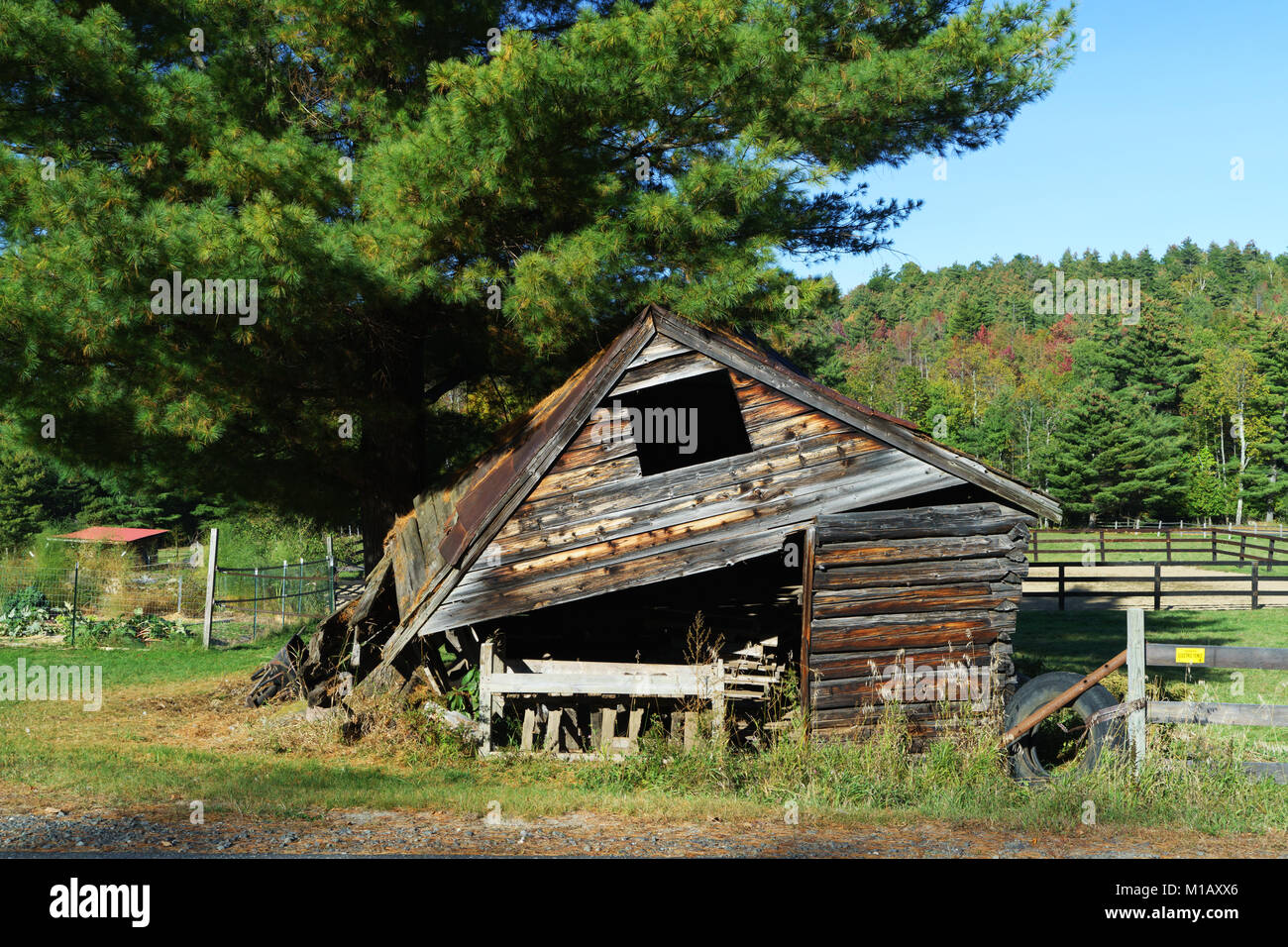 Collapsed barn near Mt Jay, New York State, USA. Stock Photo