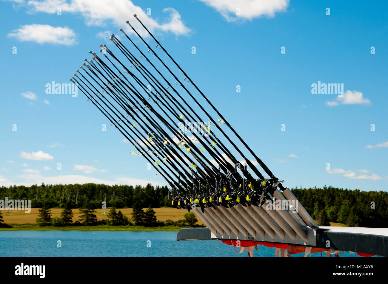 Multiple Fishing Rods Stock Photo - Alamy