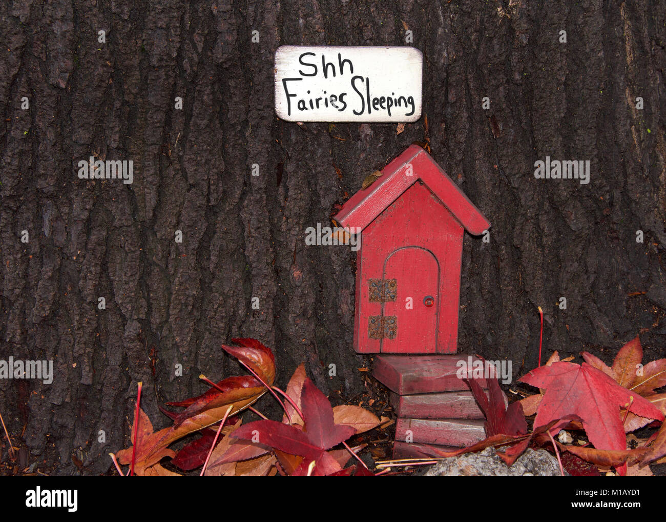 Close up of tree trunk with fairy door, autumn leaves. An urban art movement of tiny fairy doors hitting the curbs, trees, and public spaces on the Is Stock Photo