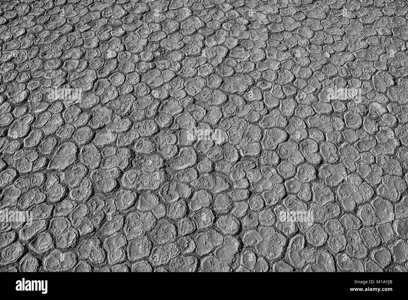Cracks in dry clay soil Black and White Stock Photos & Images - Alamy