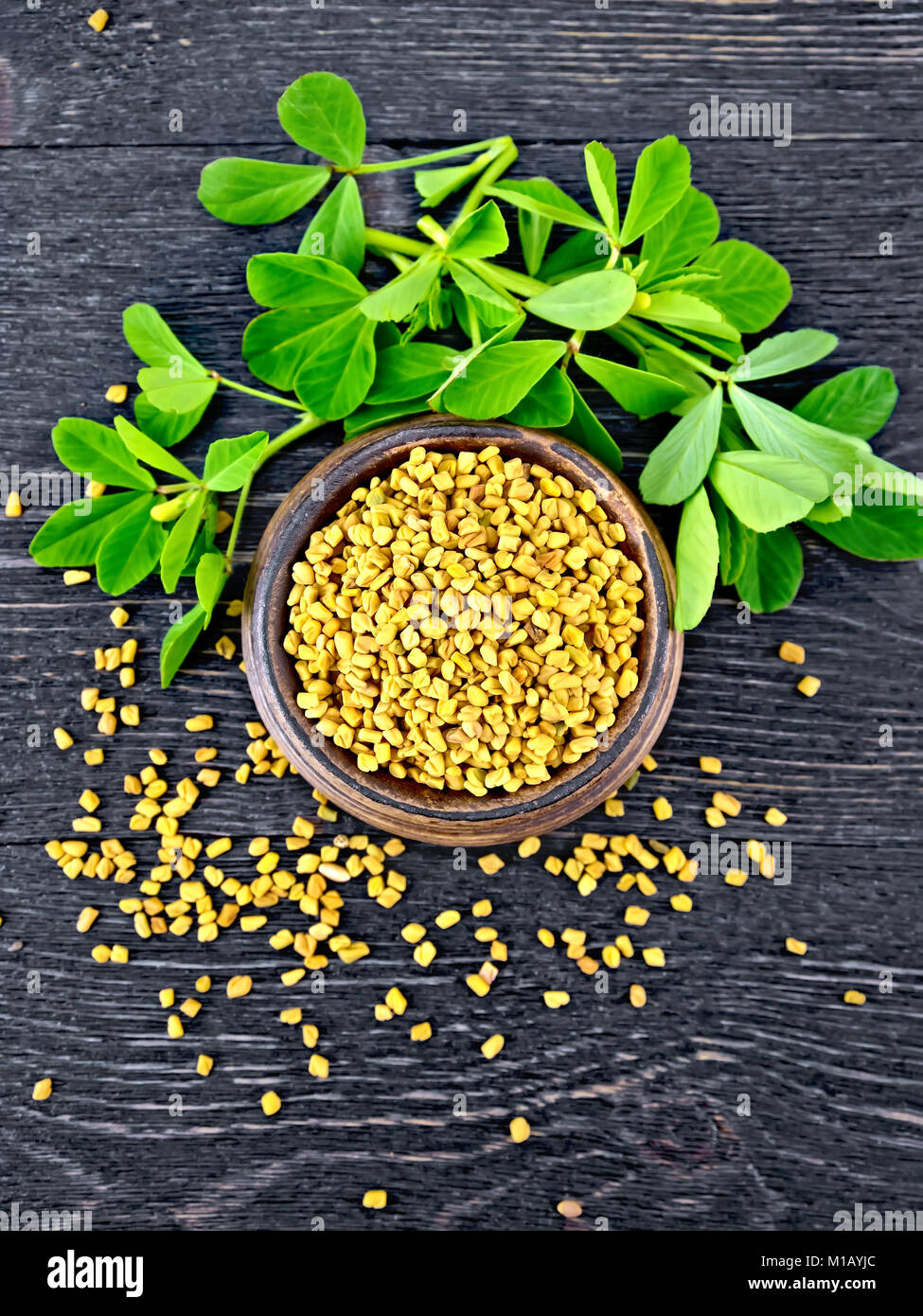 Fenugreek seeds in a bowl and on a table with green leaves on a wooden plank background on top Stock Photo