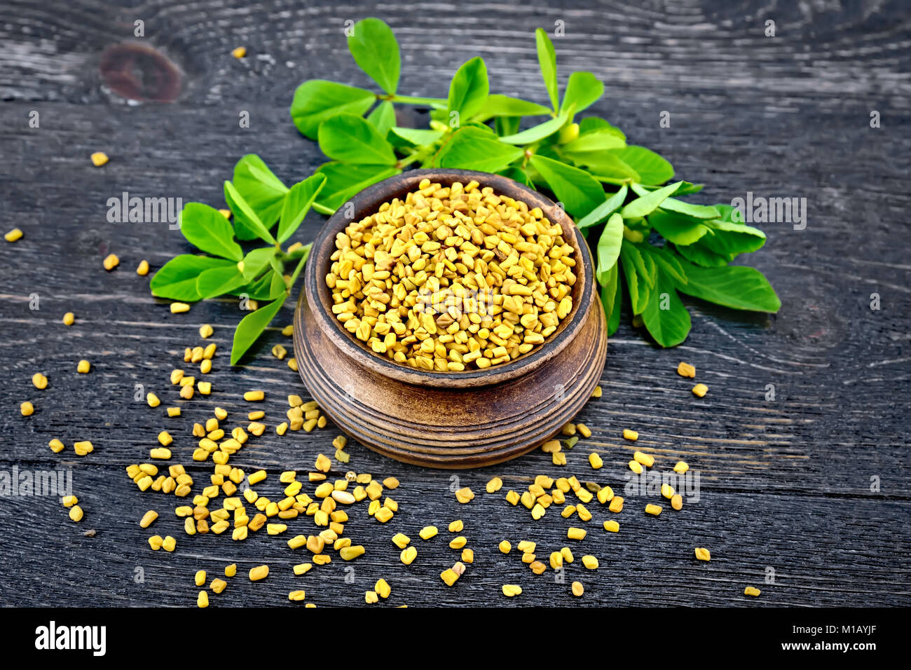 Fenugreek seeds in a bowl and on a table with green leaves against a black wooden board Stock Photo