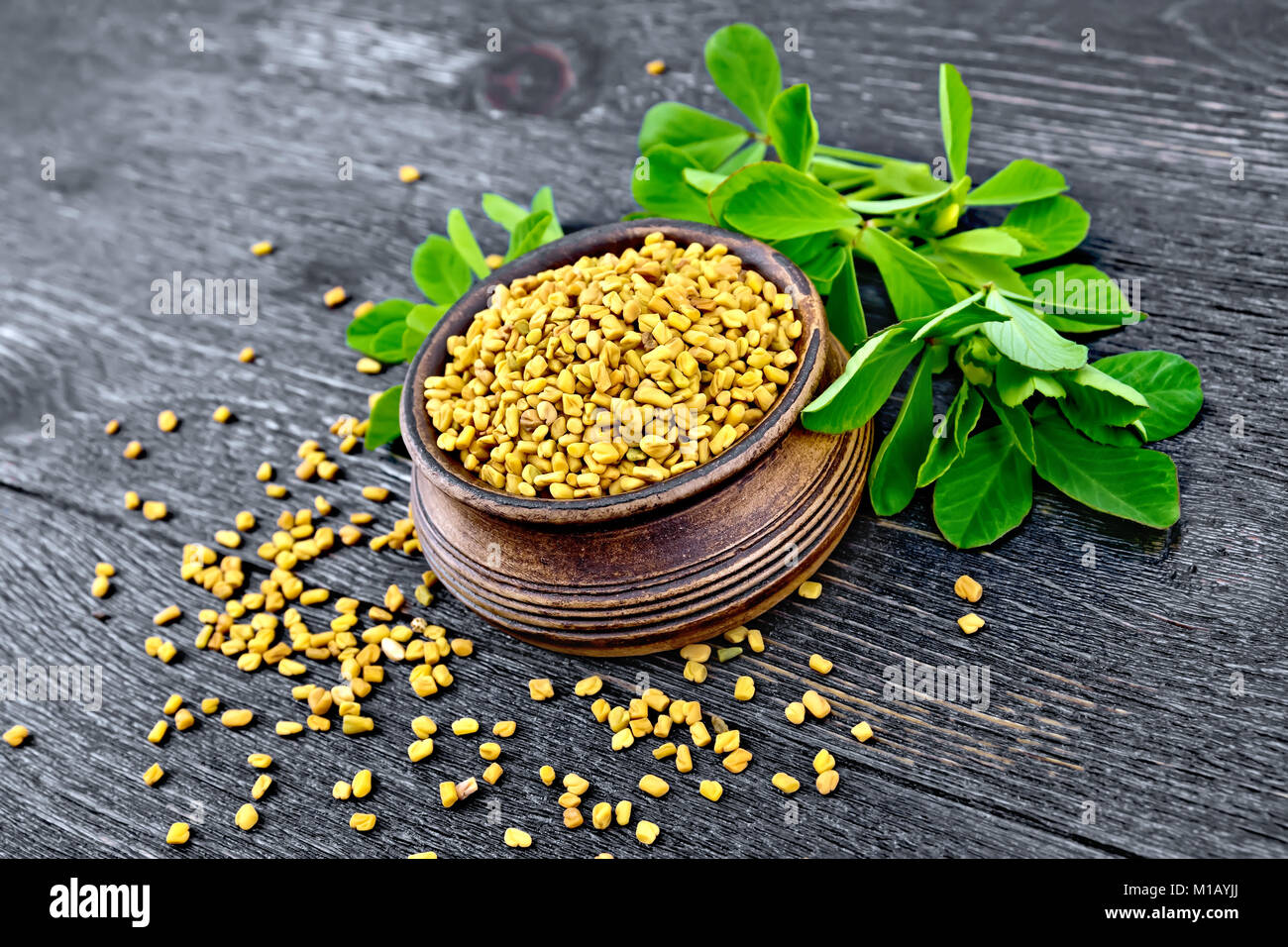 Fenugreek seeds in a bowl with green leaves on a wooden plank background Stock Photo