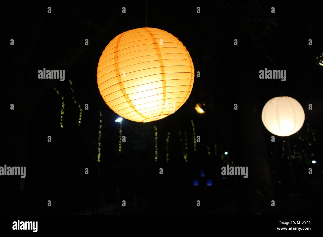 beautiful light lamp tree lantern Stock Photo
