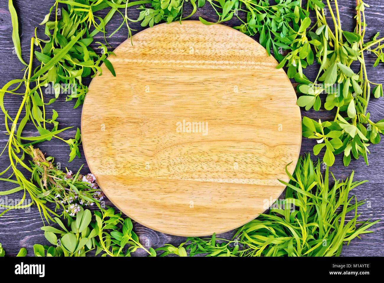 Frame of leaves herbs of fenugreek, rue, savory, tarragon, thyme and