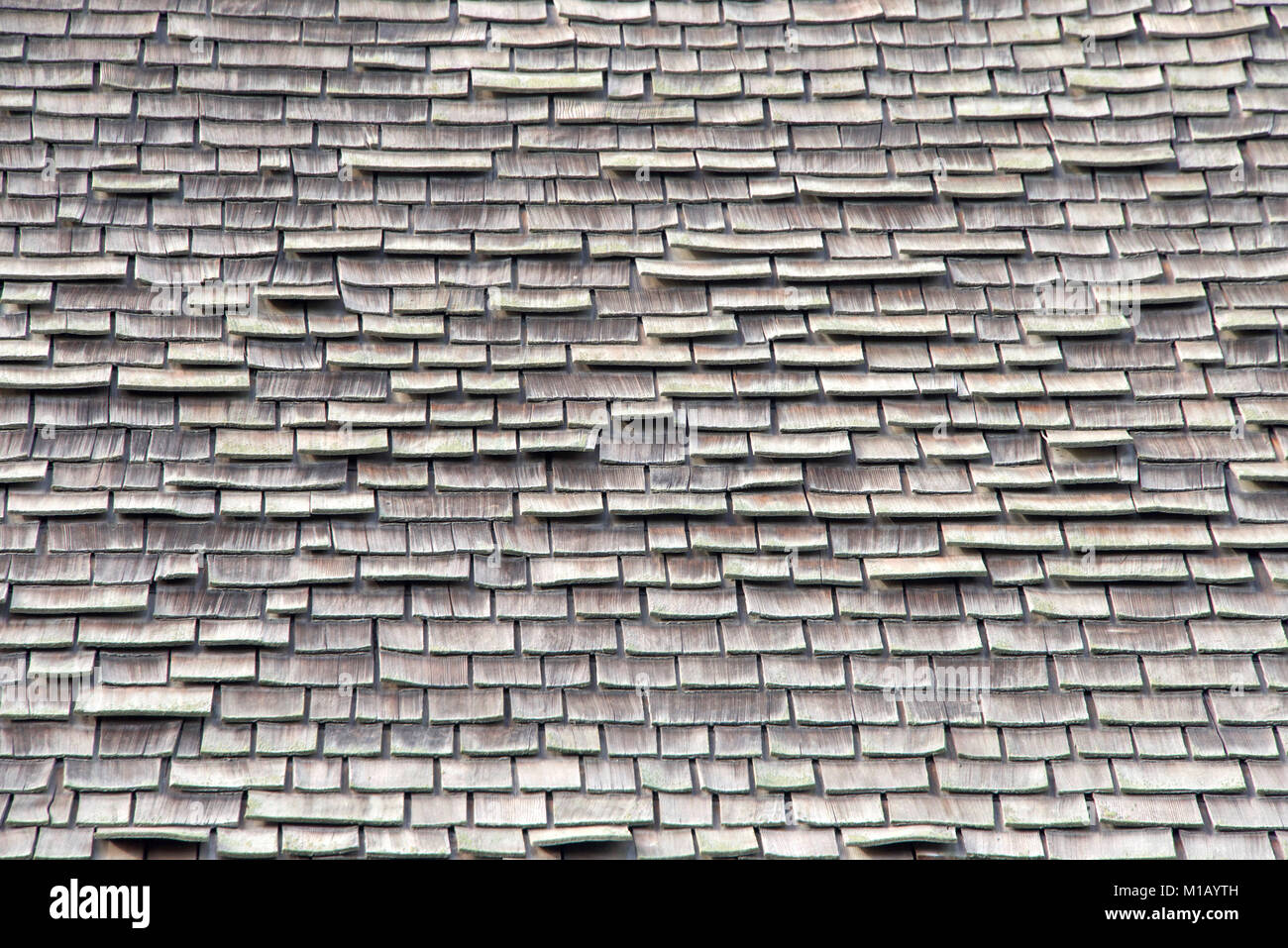 wood shingle roof in poor repair. Wood shingles are thin, tapered