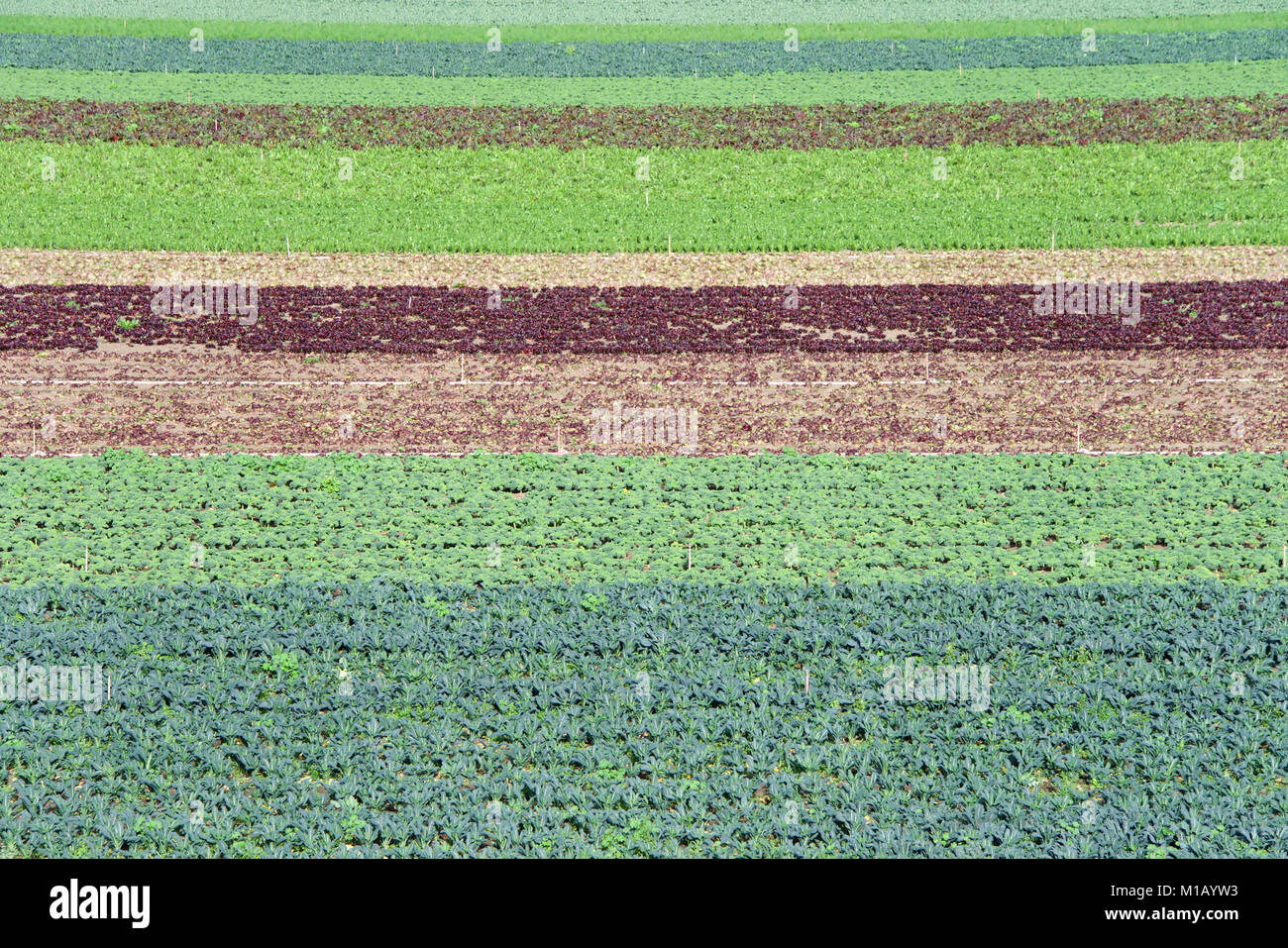 Small plots of land hires stock photography and images Alamy
