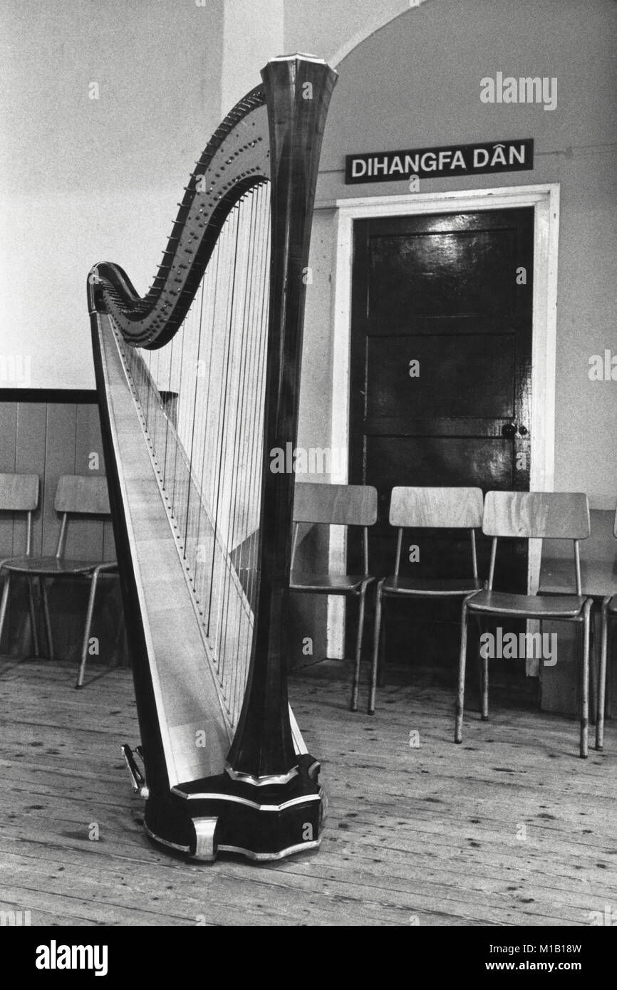 Welsh triple harp small eisteddfod in village hall at Llanuwchllyn Gwynedd North Wales UK Stock Photo