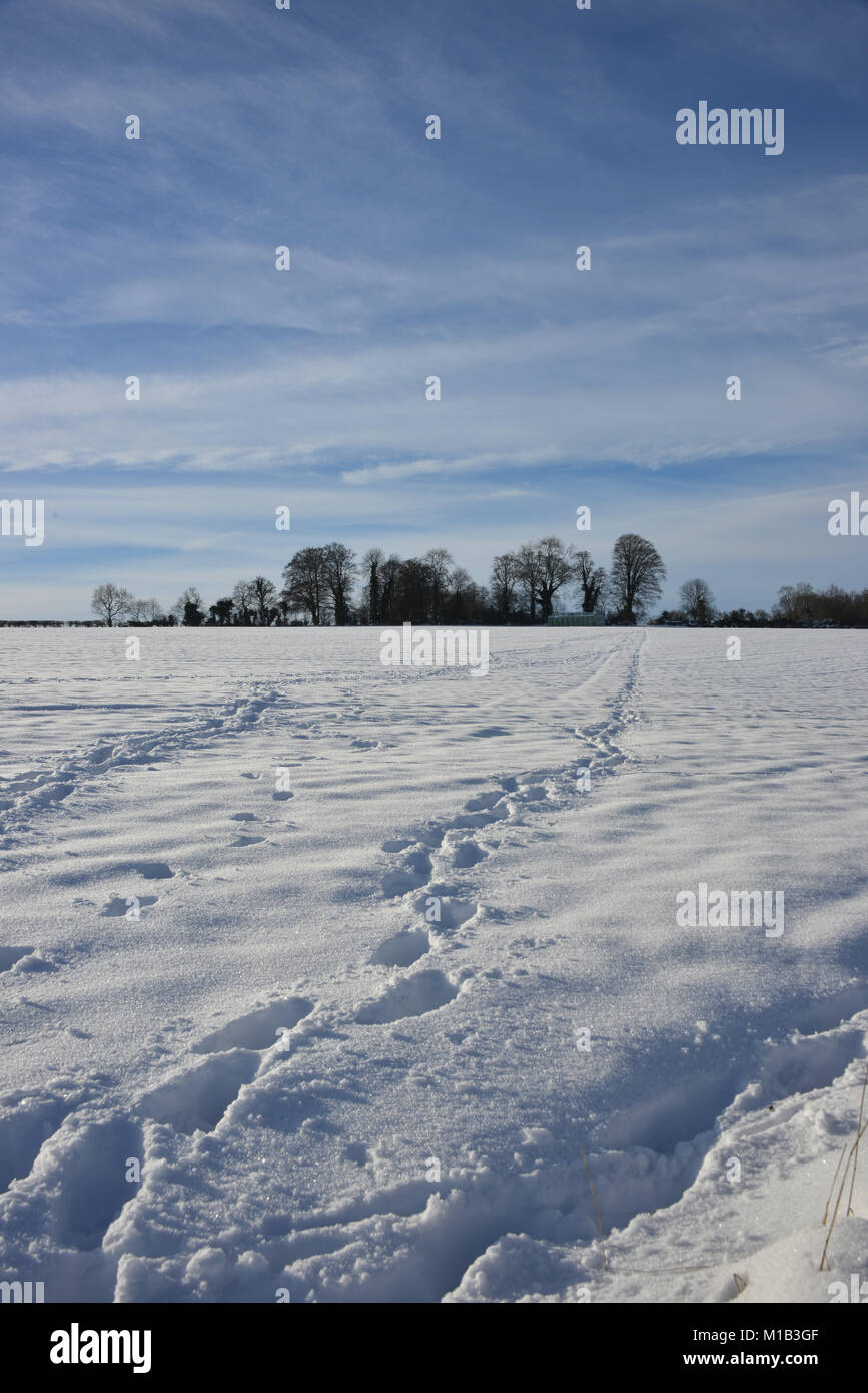 6 inches of snow hi-res stock photography and images - Alamy