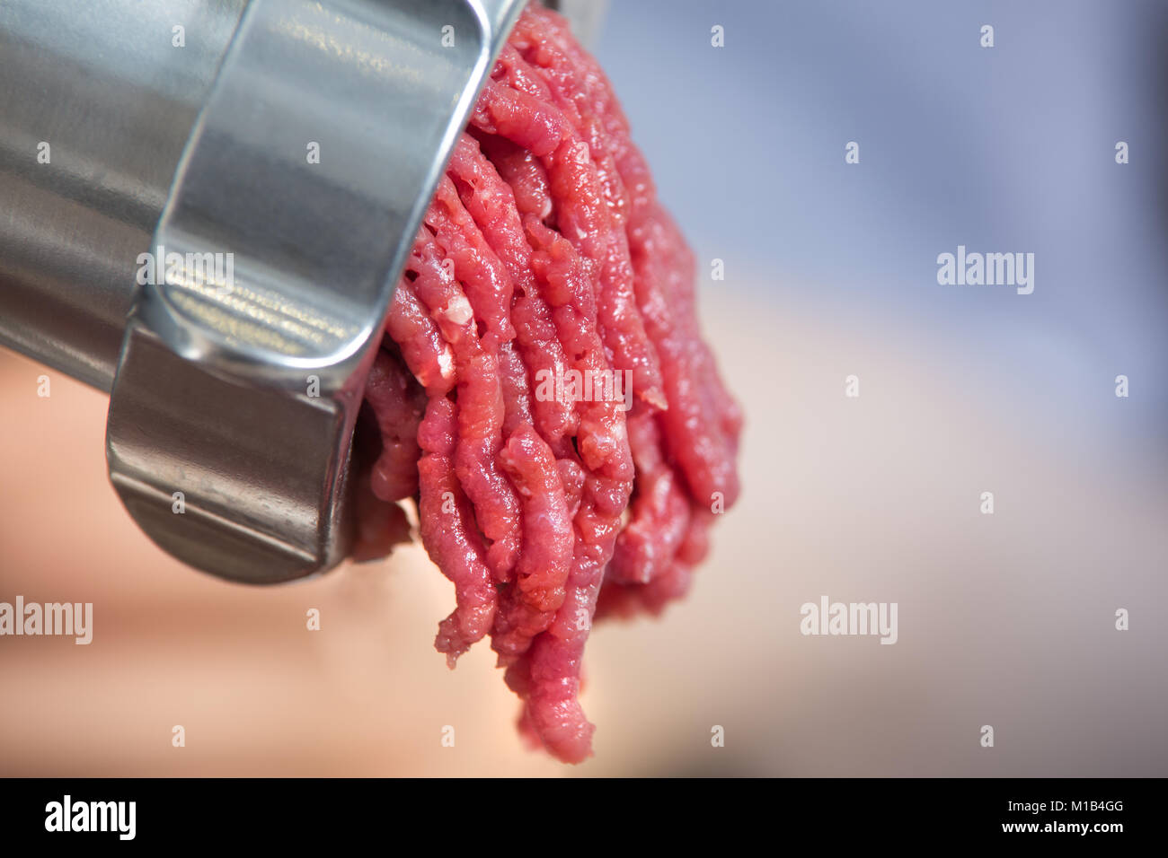 meat and grinder. Minced meat and meat grinder. Meat grinder machine  chopping uncooked ground meat Stock Photo - Alamy