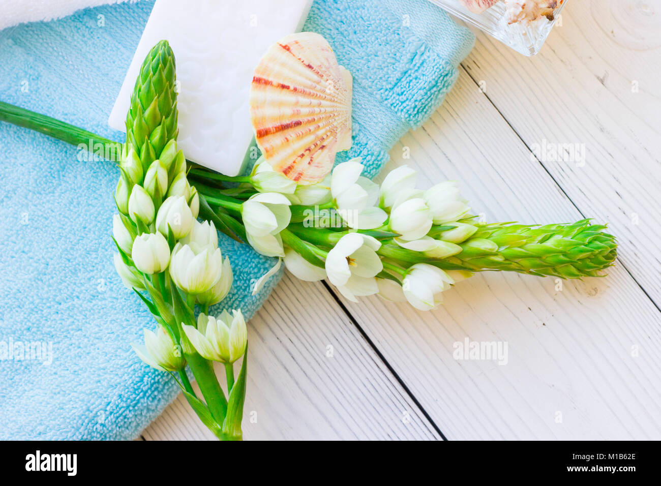 Spa Shell Samples Sea shells for spa Stock Photo - Alamy