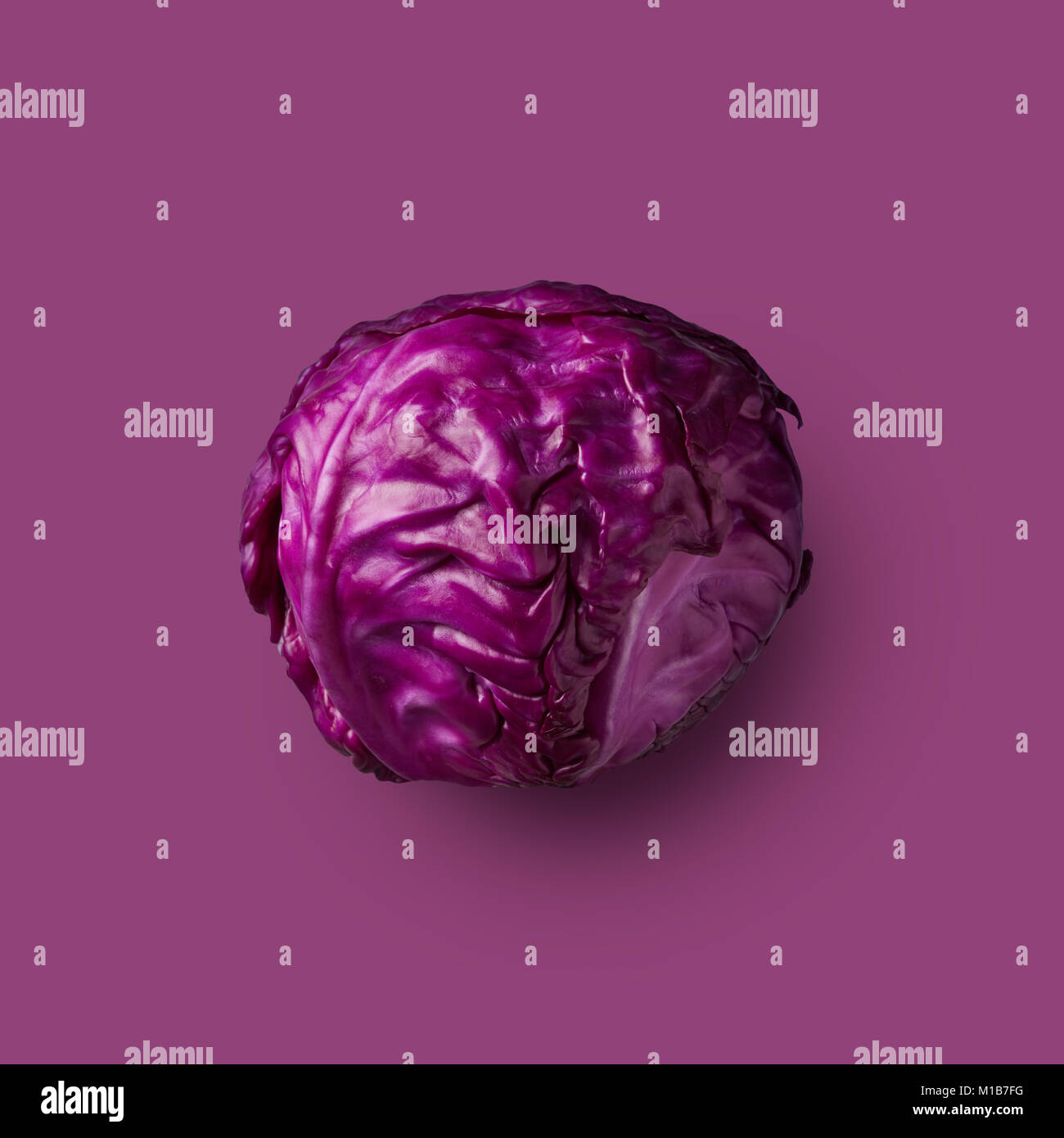 Red cabbage head isolated on purple background Stock Photo Alamy