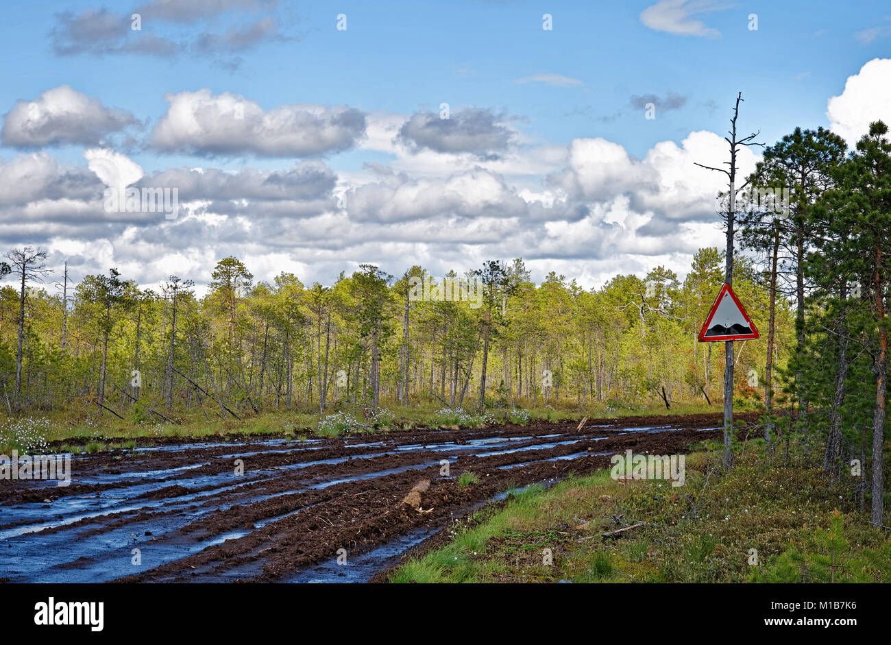 A dirty road in the taiga in the summer noon. The moisture from the melted snow made it impassable Stock Photo
