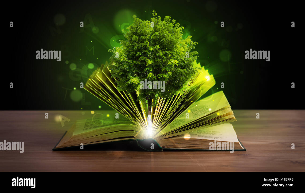 Open book with magical green tree and rays of light on wooden deck Stock Photo