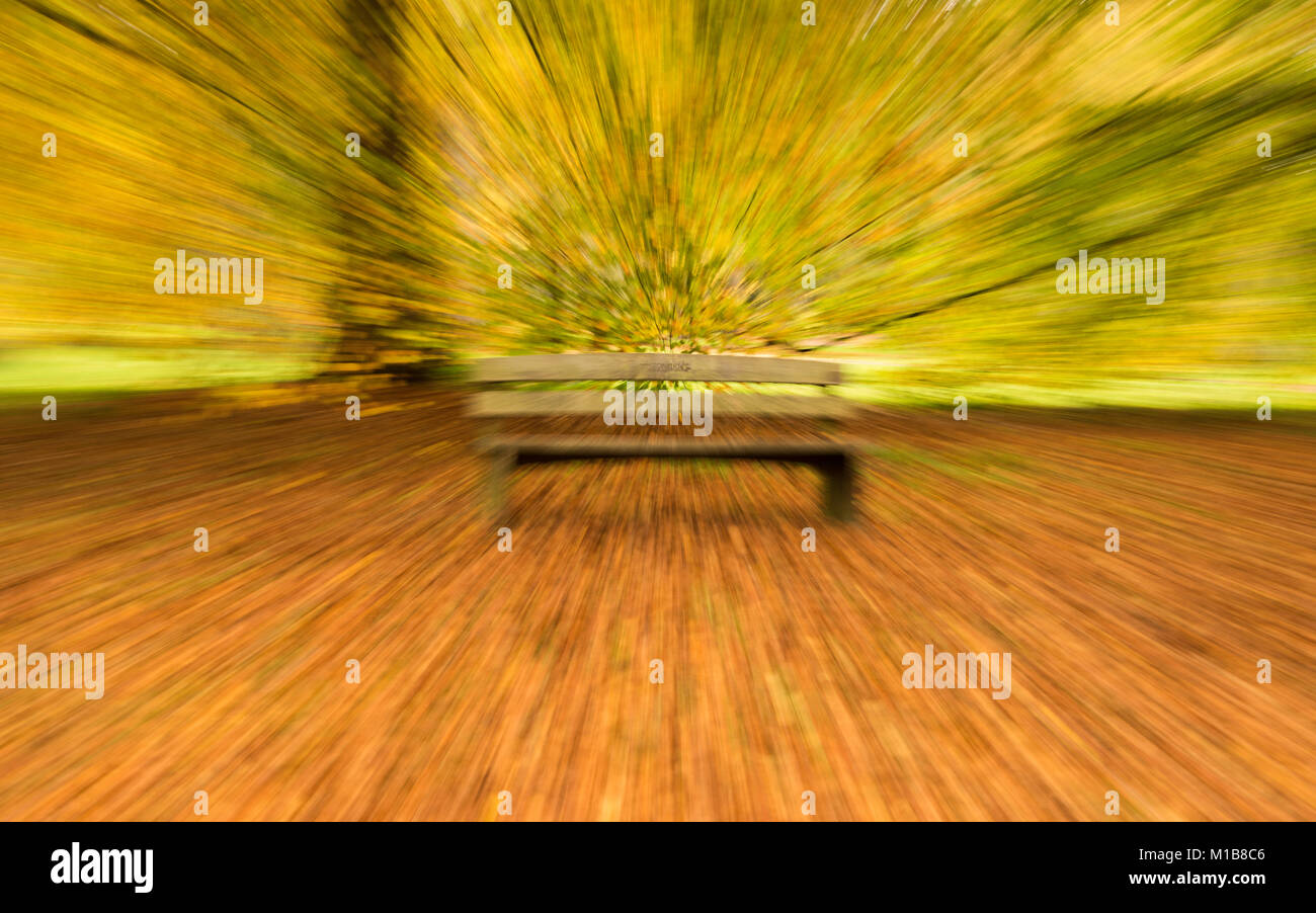 Abstract zoom burst of a wooden bench in front of trees with n autumnal covering of leaves at Westonbirt national Arboretum, Gloucestershire, England Stock Photo