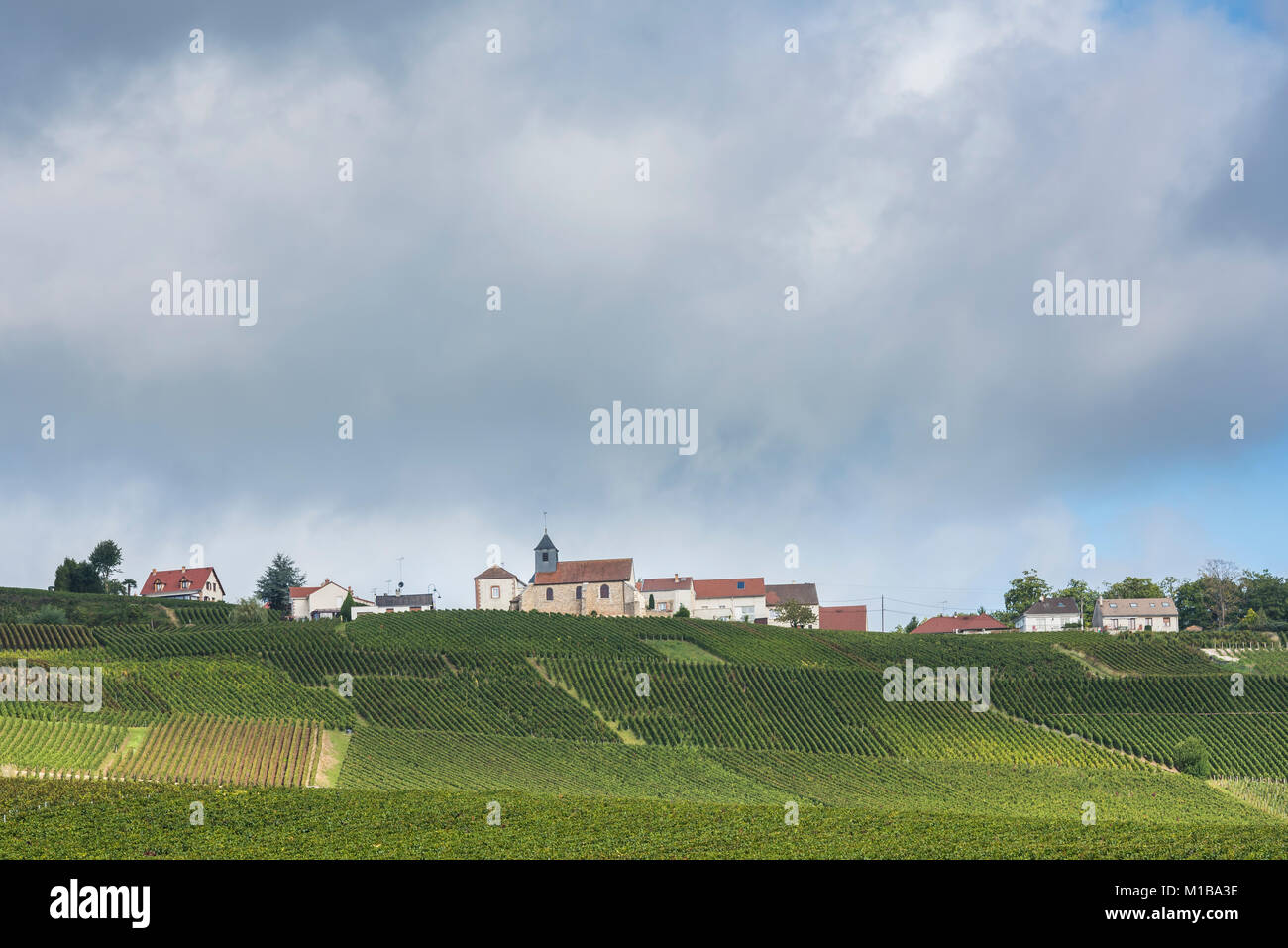 The small town of Mutigny with church surrounded by Vineyards in the Champagne region near Reims and Epernay, France Stock Photo
