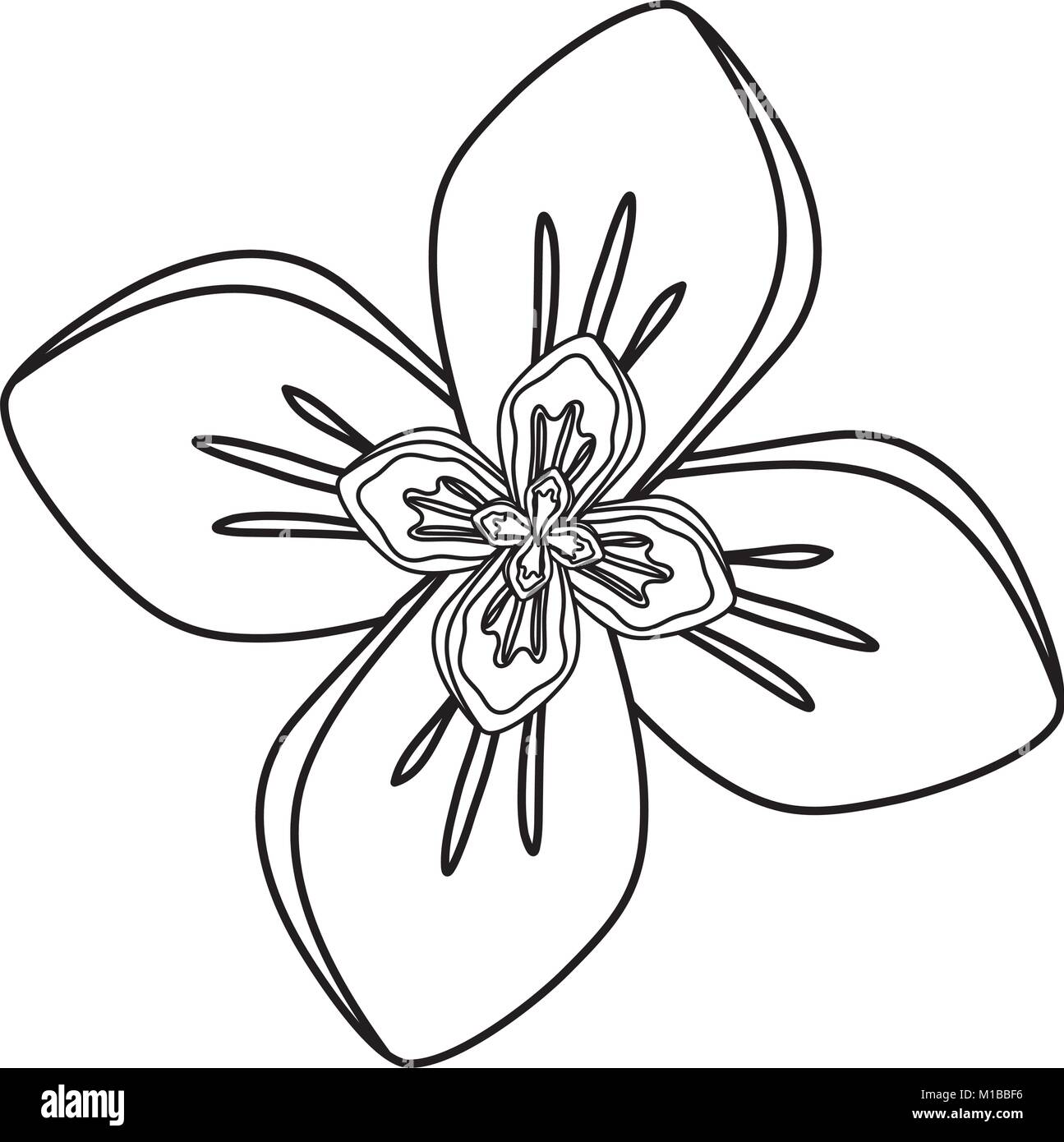 rustic floral design Stock Vector Image & Art - Alamy