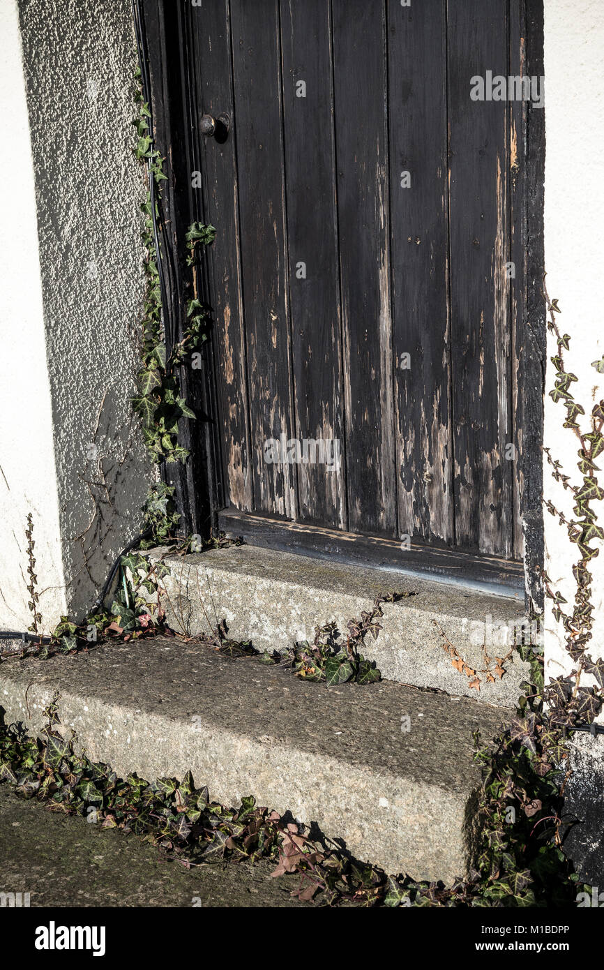 Door covered with ivy,unused door,doorway, portal, opening, hatch, entrance, entry, exit, egress,footstep, footfall, tread, tramp Stock Photo