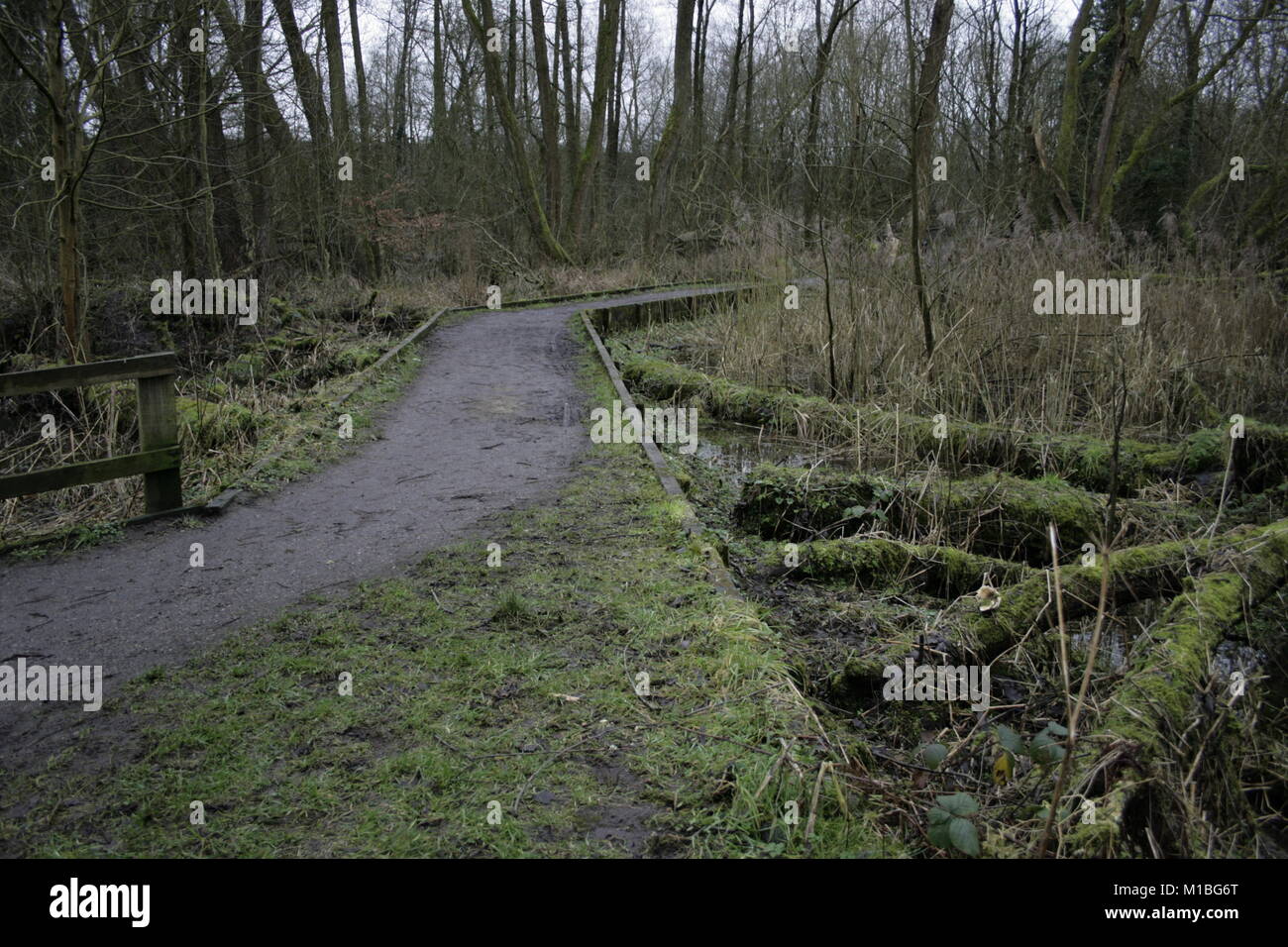 Millgate fields hires stock photography and images Alamy