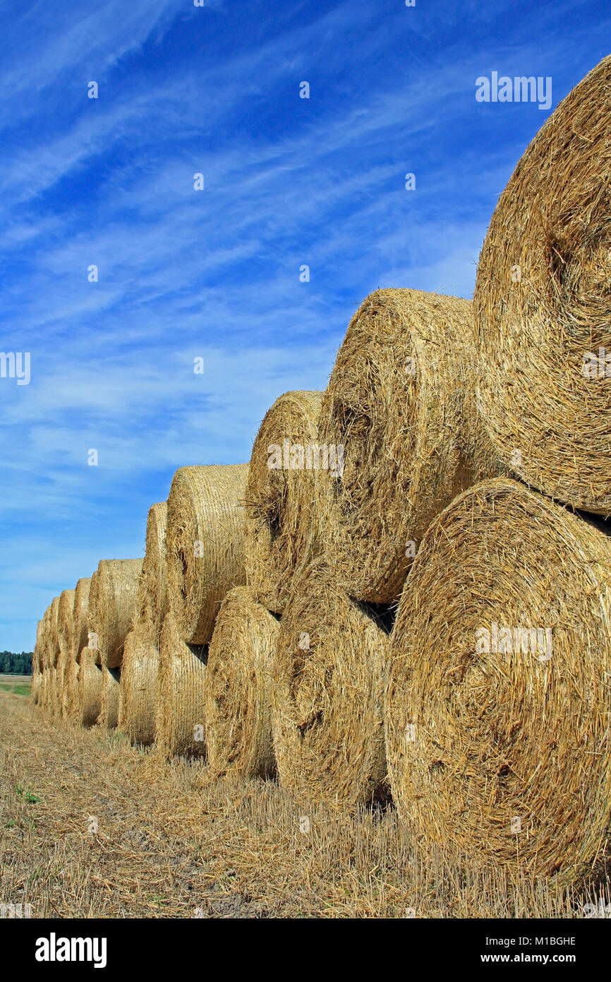 Straw bales stacked at the edge of a field on a clear day in autumn