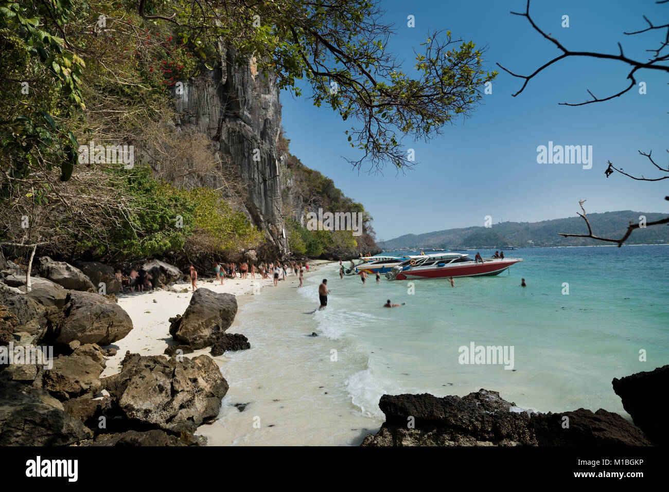 Monkey Beach Phi Phi Islands Thailand Stock Photo Alamy