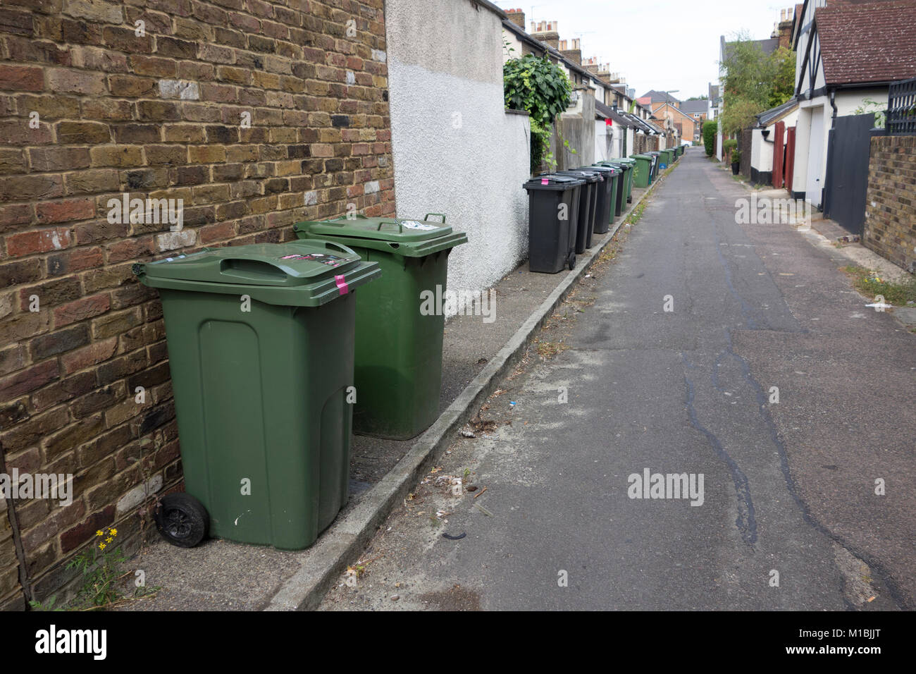 Domestic recycling bins and general household rubbish bins left out along street of residential
