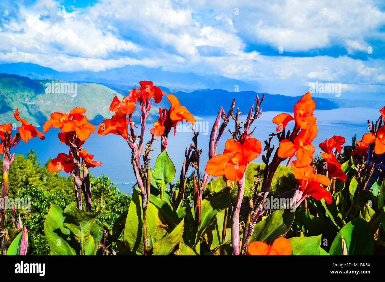Red iris flowers framing the view of Lake Toba in Samosir North Sumatra, Indonesia Stock Photo