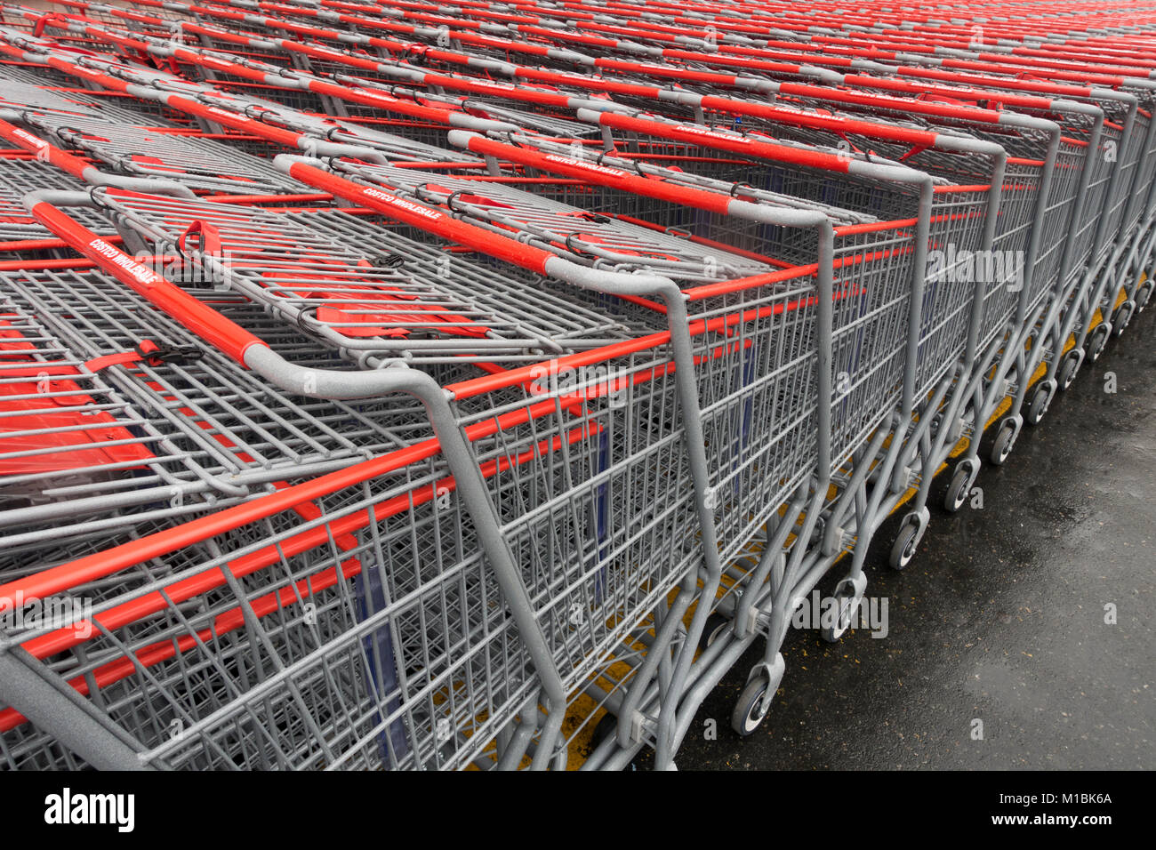 Costco wholesale shopping carts Brooklyn NYC Stock Photo Alamy