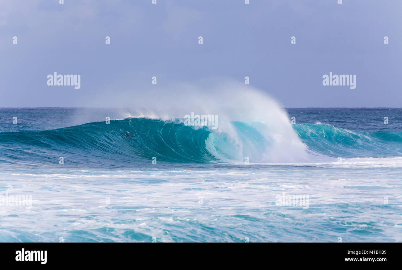 Hawaii wave hi-res stock photography and images - Alamy