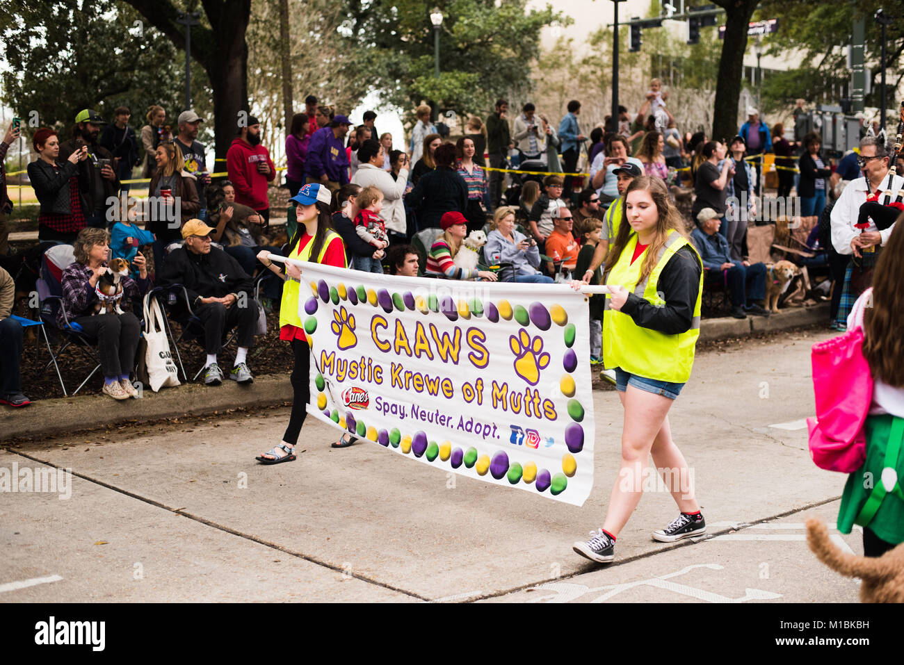 CAAWS Krewe of Mutts, Baton Rouge Dog Mardi Gras Parade Stock Photo