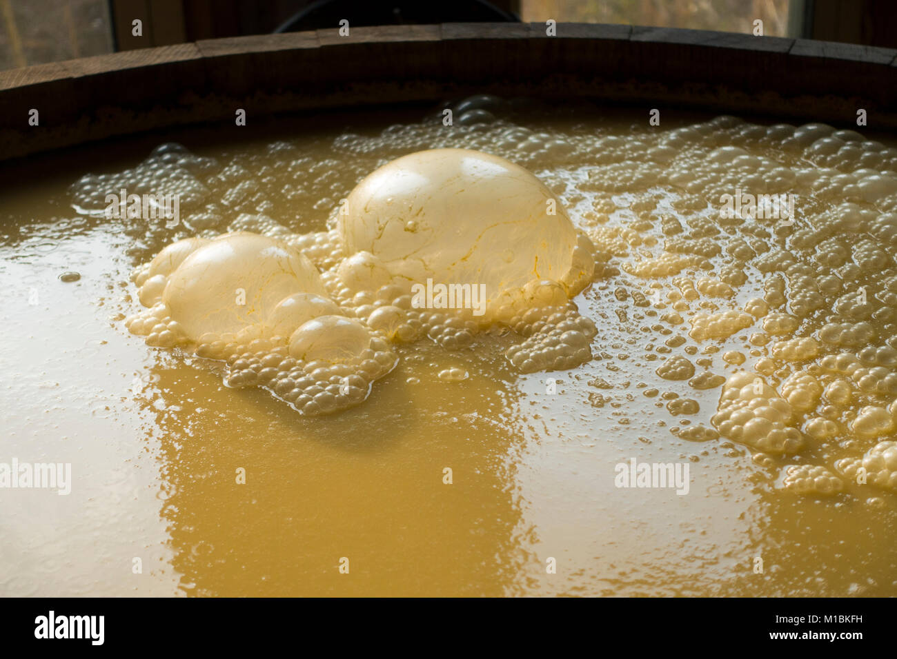 yeast bubbles for alcohol Stock Photo Alamy