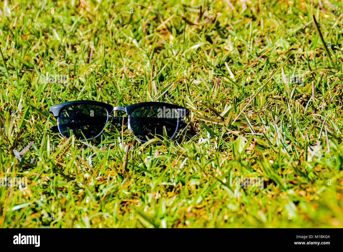 Sun glasses on a green grass lawn depicting the peak of summer Stock Photo