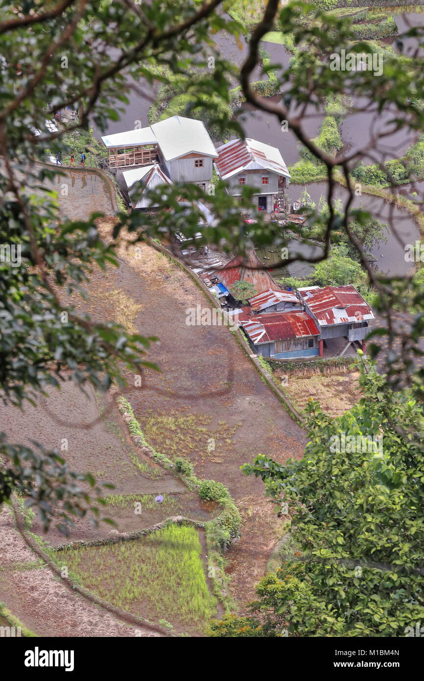 The Batad village cluster-part of the Rice Terraces of the Philippine Cordilleras UNESCO World Heritage Site in the cultural landscape category. Banau Stock Photo