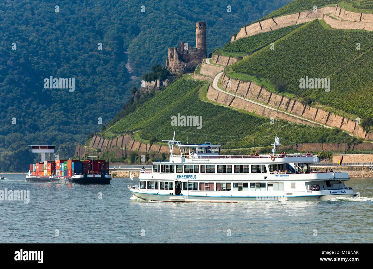 Ruin of Ehrenfels Castle in the Upper Middle Rhine Valley, vineyards near RŸdesheim, river cruise boat Ehrenfels, cargo ship, Stock Photo