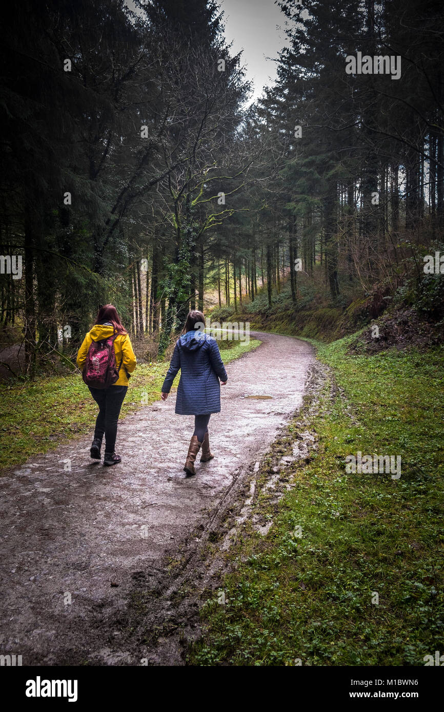 Cardinham Woods in Cornwall - two people walking along a track in Cardinham Woods in Bodmin Cornwall. Stock Photo