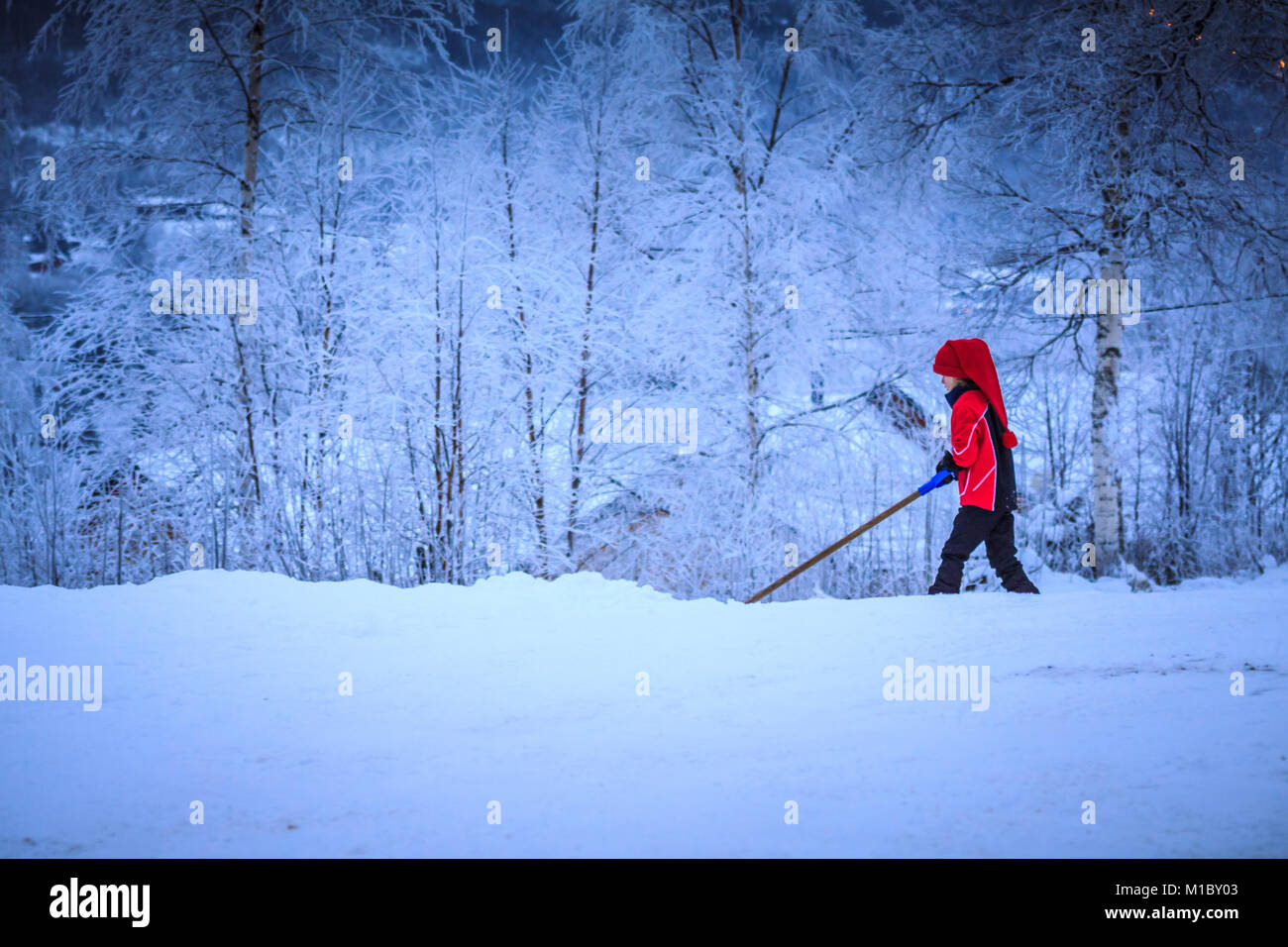 Young girl shoveling snow, in front of dense snowy forest. Person dressed in saturated red clothes and a long woolen cap. Stock Photo