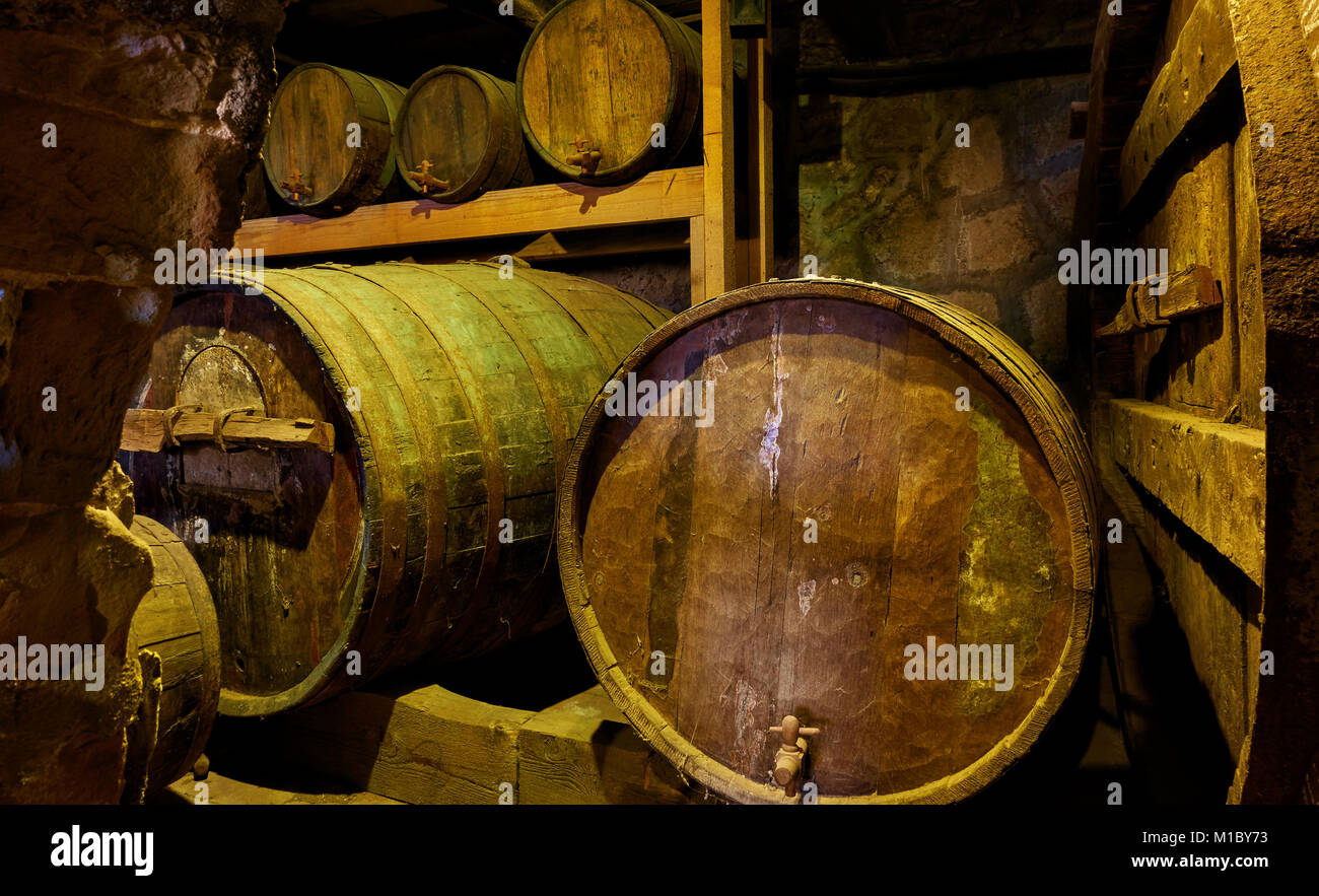Old wine barrels in cellar Stock Photo