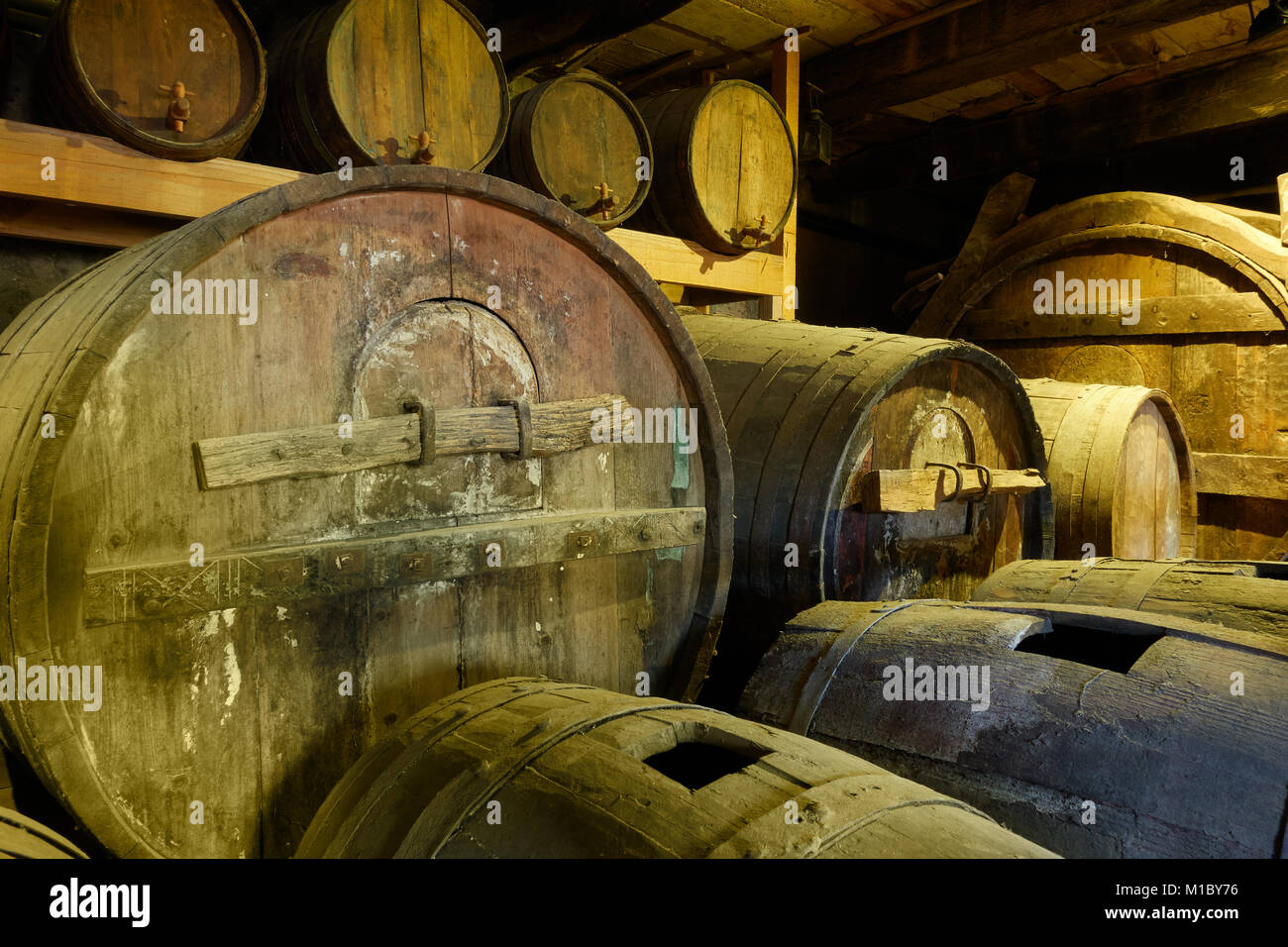 Old wine barrels in cellar Stock Photo