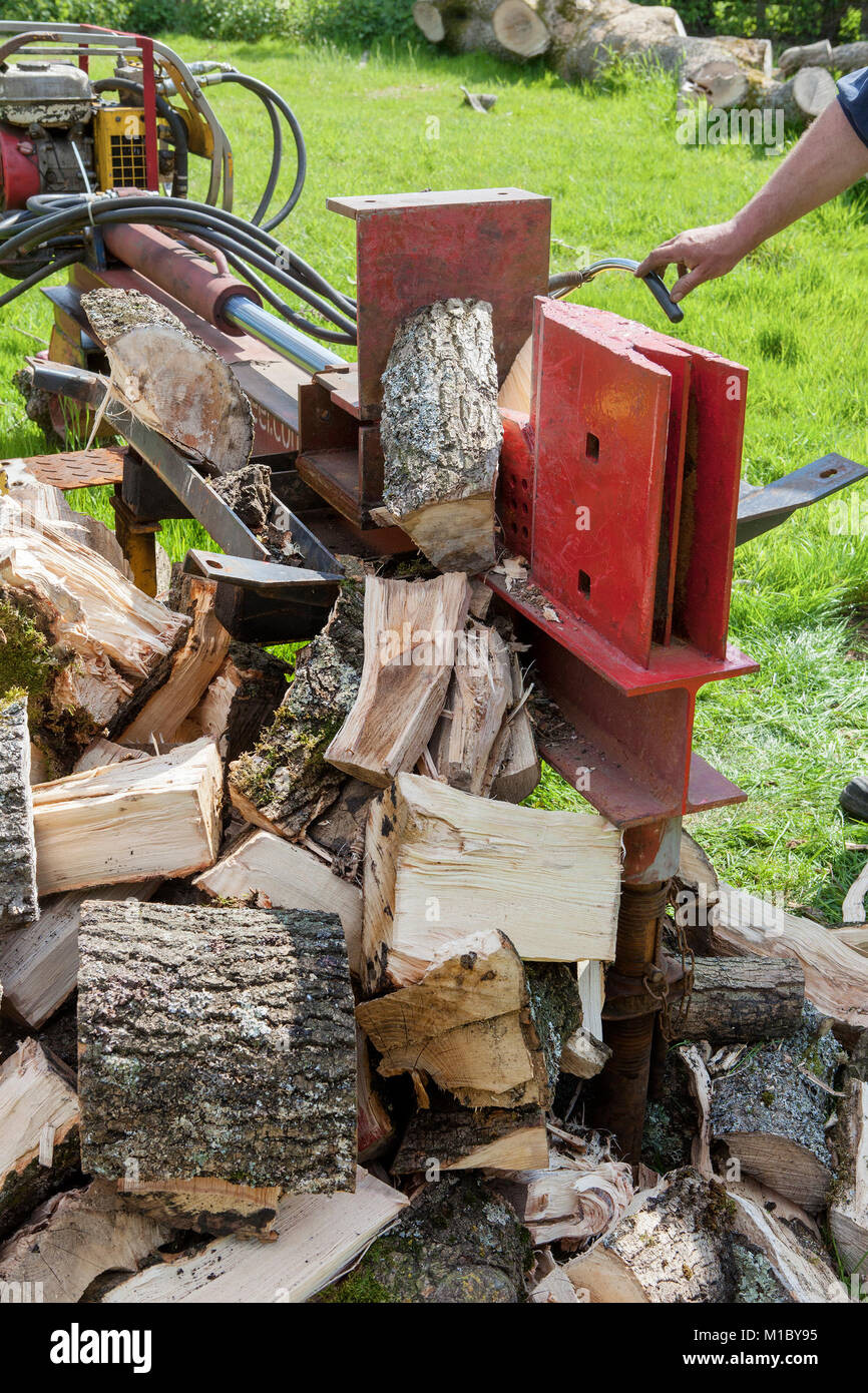 Log splitting with a hydraulic log splitter Stock Photo