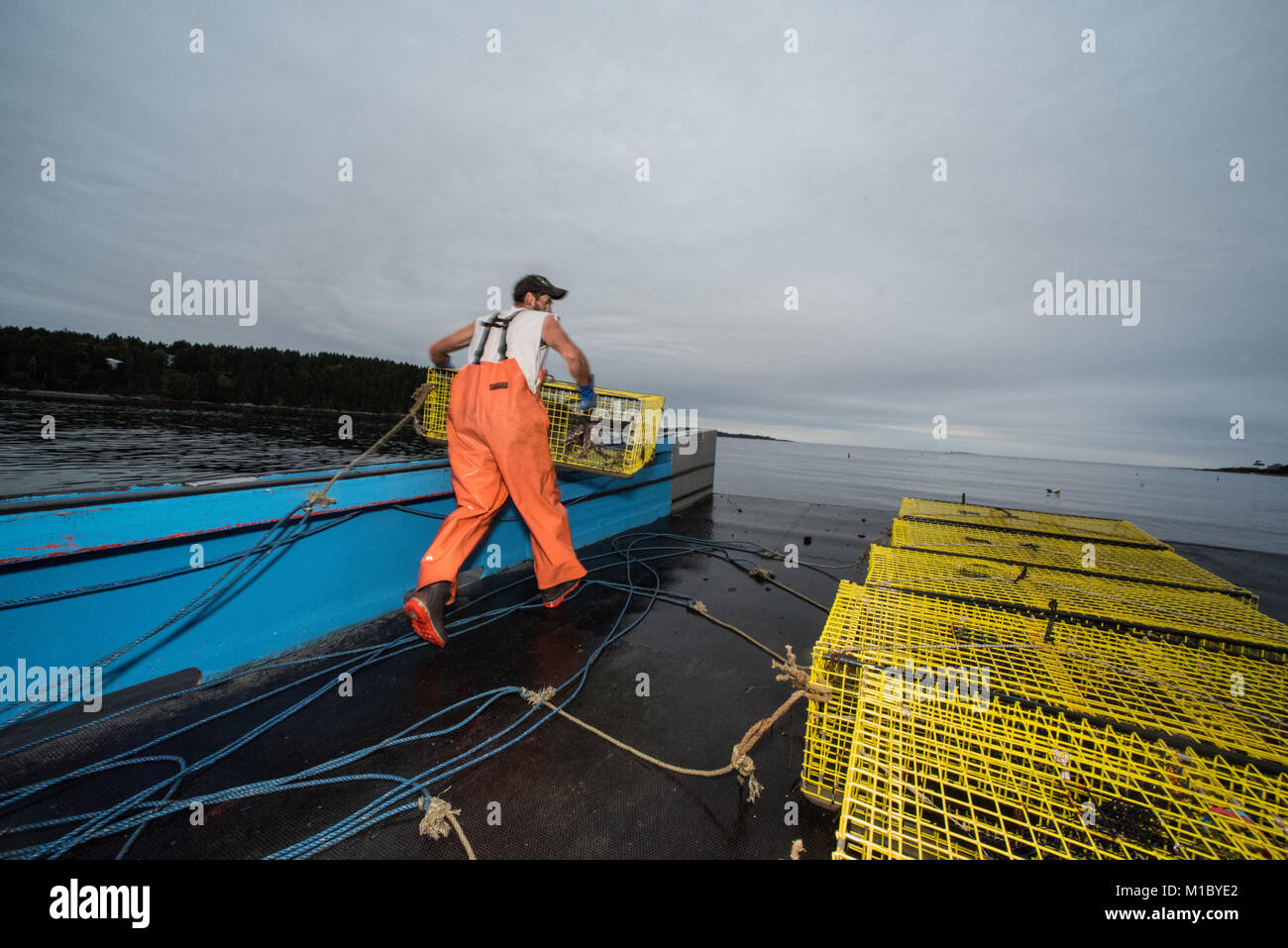 Setting lobster traps. Chebeague Island, Casco Bay, Maine Stock Photo