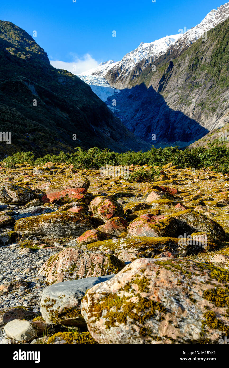 Franz Josef Glacier Walk Stock Photo Alamy