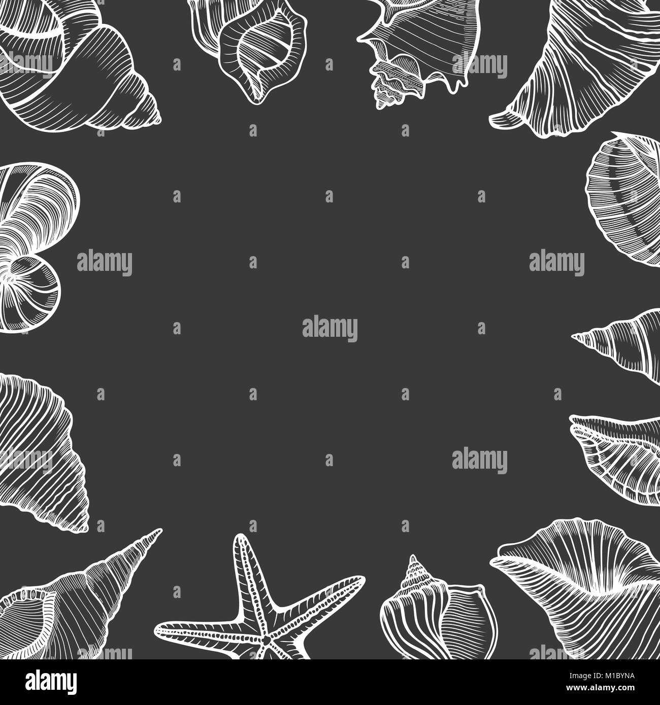 Vintage seafood frame vector illustration. Hand drawn Seashell with ink ...