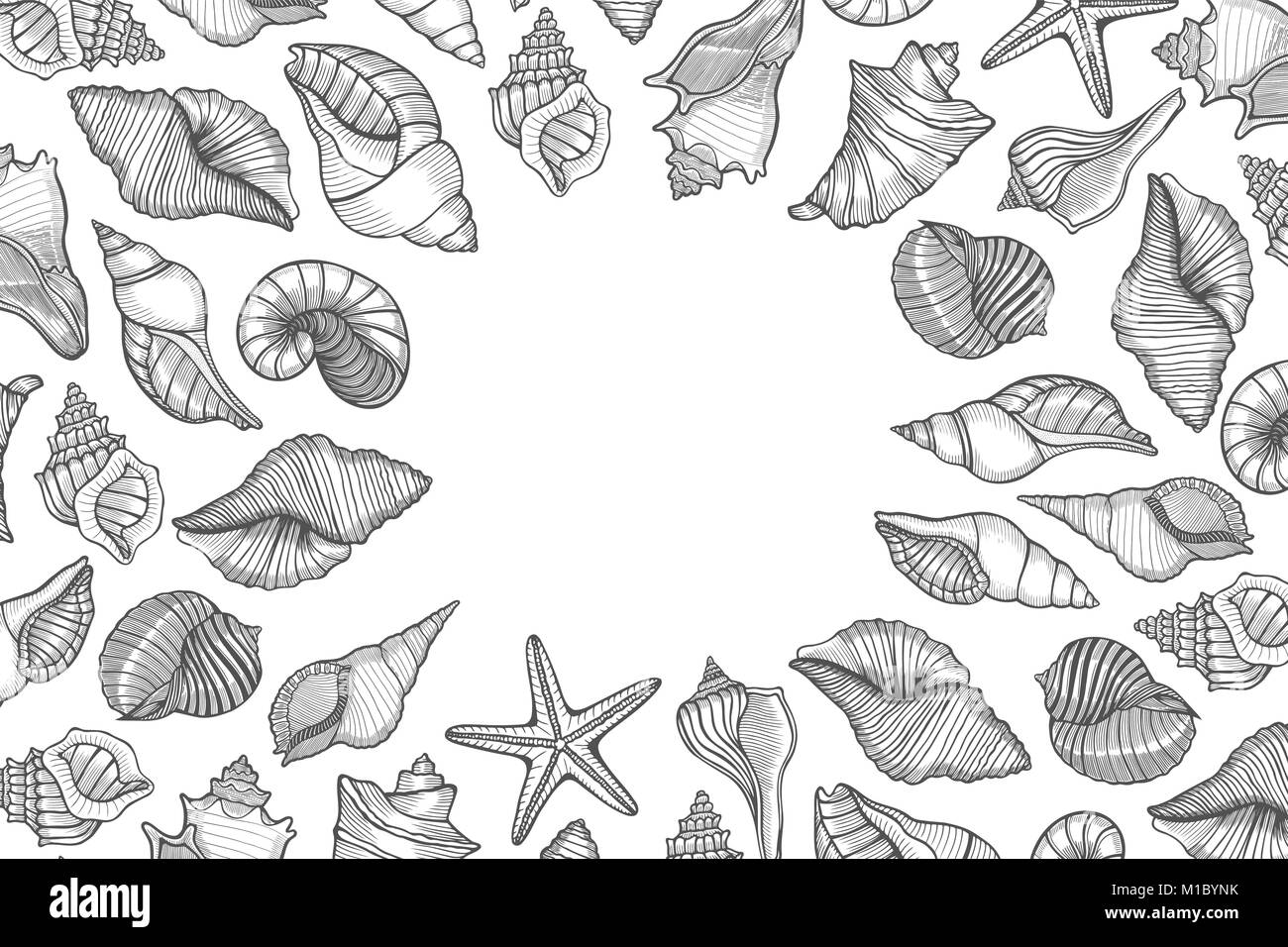 Vintage seafood frame vector illustration. Hand drawn Seashell with ink ...