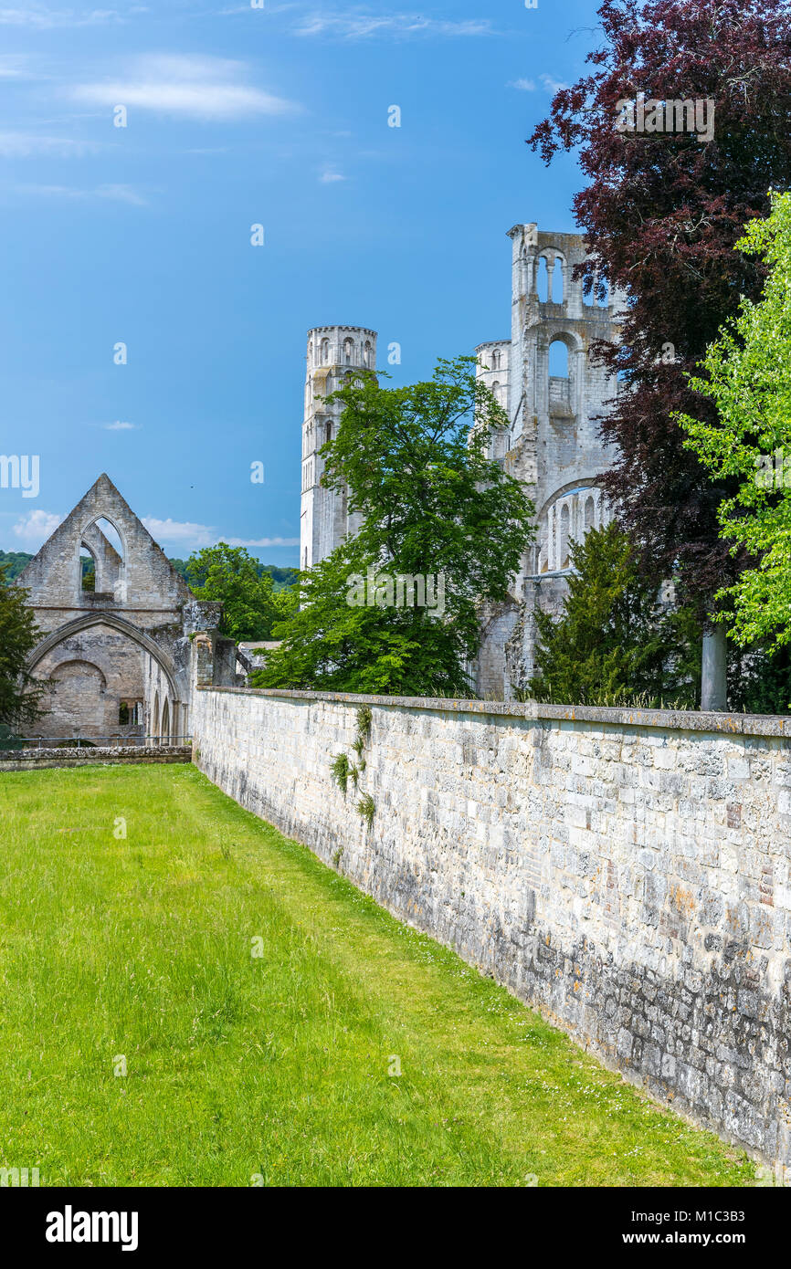 Jumièges Abbey ruins, Seine-Maritime, Normandie, France, Europe Stock Photo